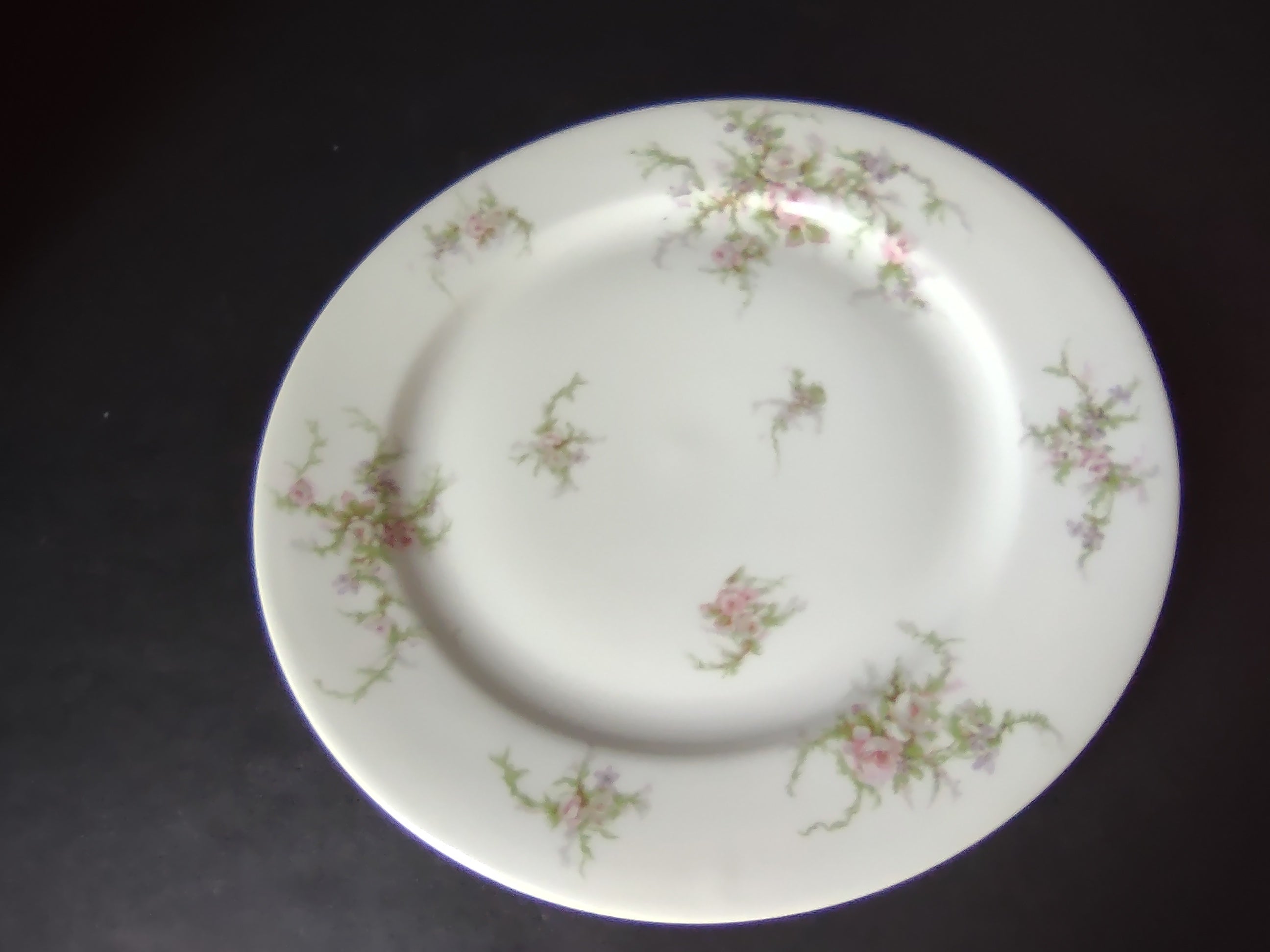 Haviland Limoges Dinner Plate 9-3/4" Pink White Cabbage Rose Moss (lot 909)