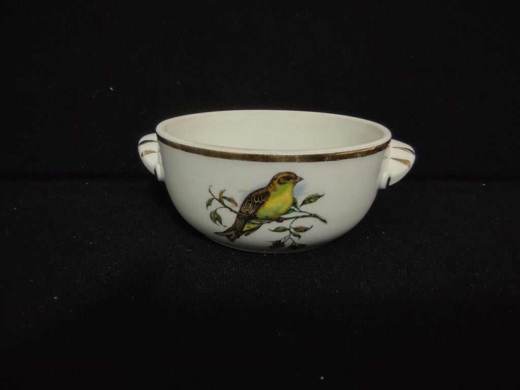 041 Vintage Collectible Pivilite Porcelain French Dish Bowl with Birds