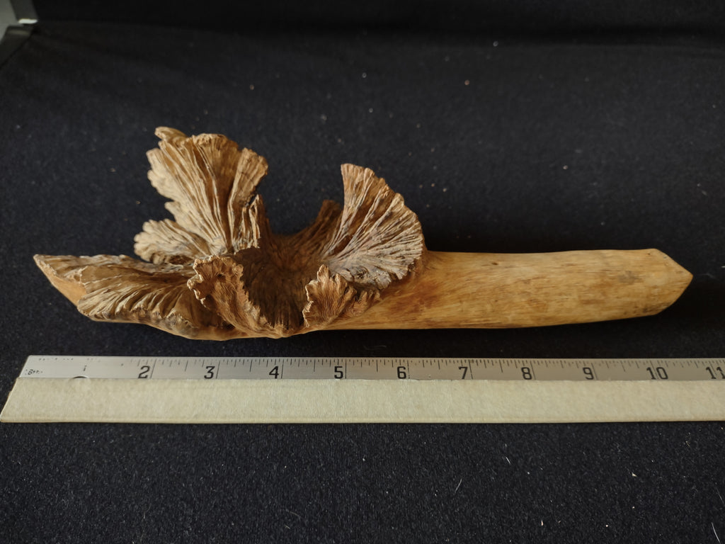 Craft Driftwood about 11" Long (lot 5383)