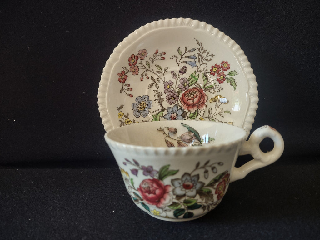 Vintage Spode English Countryside Romney Teacup Saucer Ironstone (lot 5780)