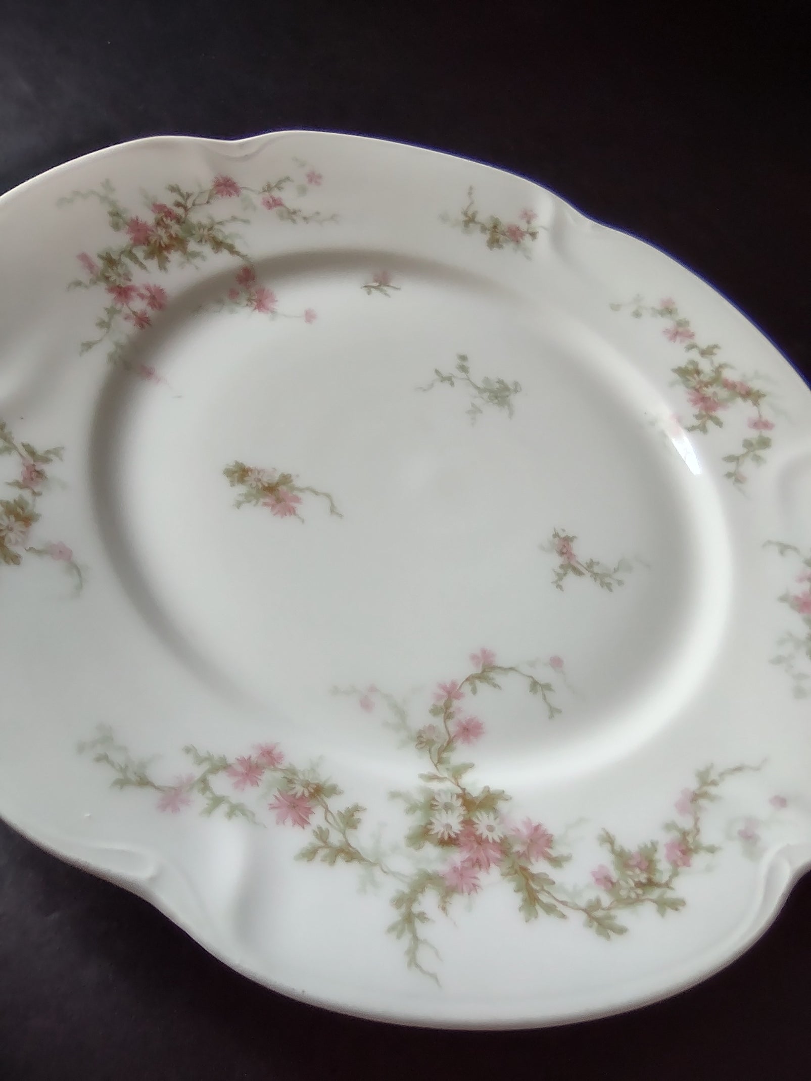 Haviland Limoges Dinner Plate Pink Thistle & Daisy (lot 880)