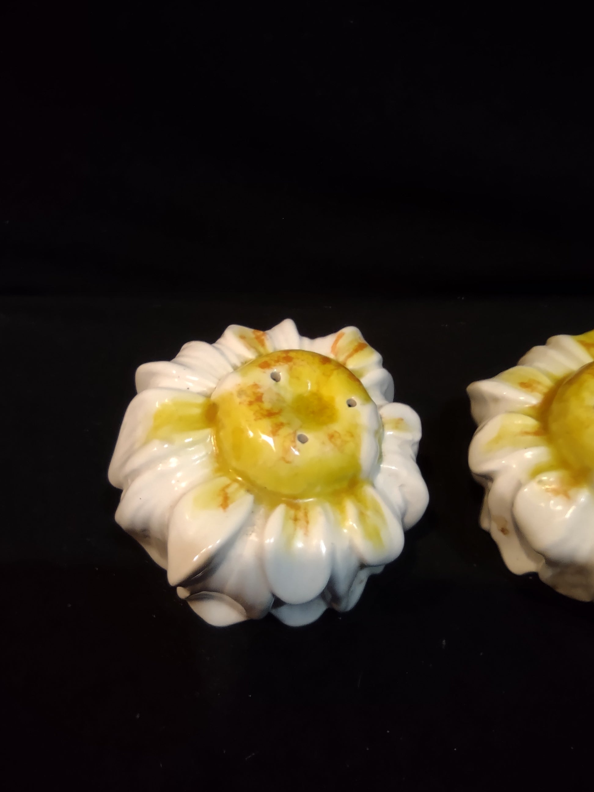 Vintage Salt and Pepper Shaker Ceramic Daisy Made in Italy (lot 5376)