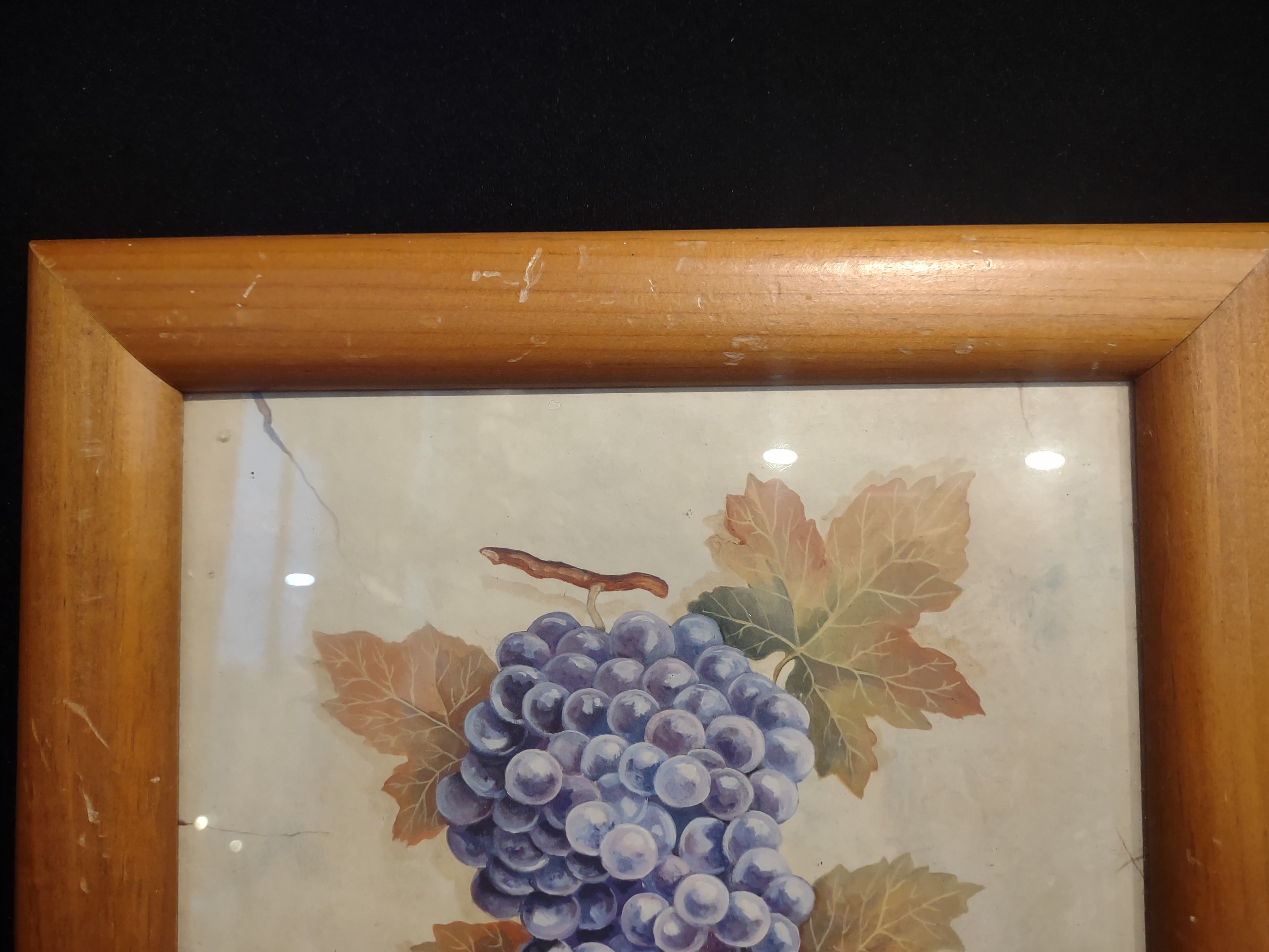 Zinfandel Grape Picture Wooden Frame (lot 2508c)