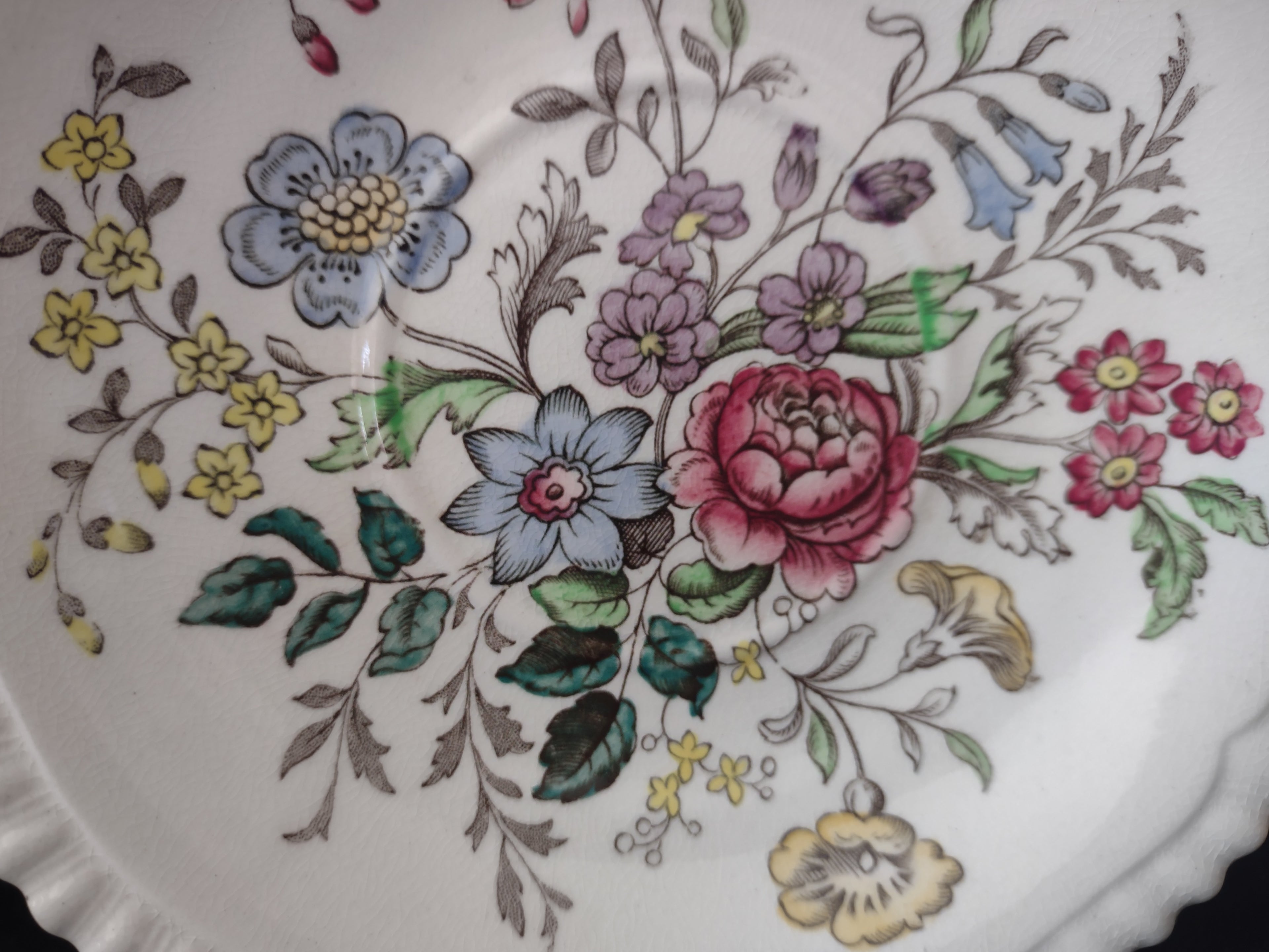 Vintage Spode English Countryside Romney Teacup Saucer Ironstone (lot 5780)