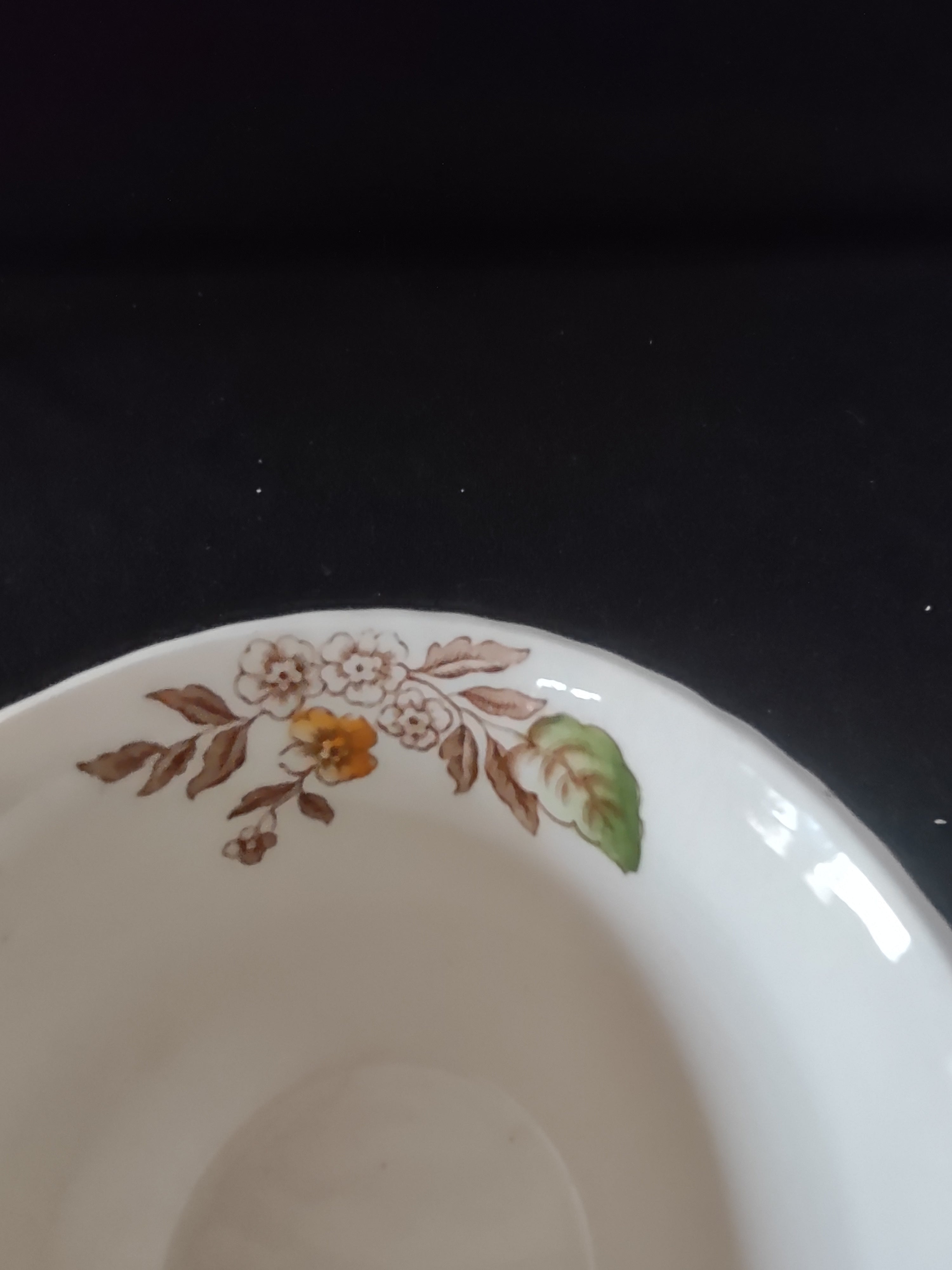 Vintage Johnson Brothers Teacup Pomona Windsor Ware Fruit Flower (Lot 5556)