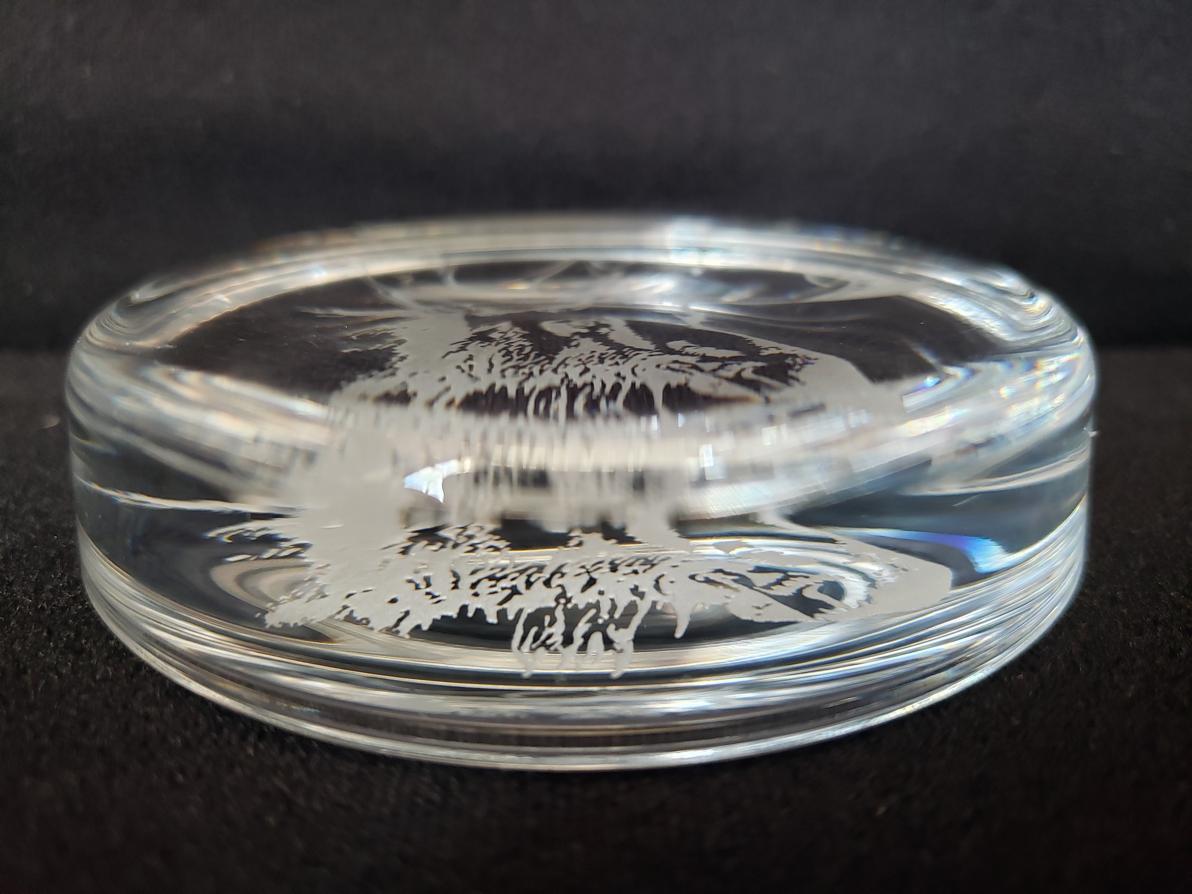 Moose Coaster Paper Weight Glass 3-3/8" (lot 2221)