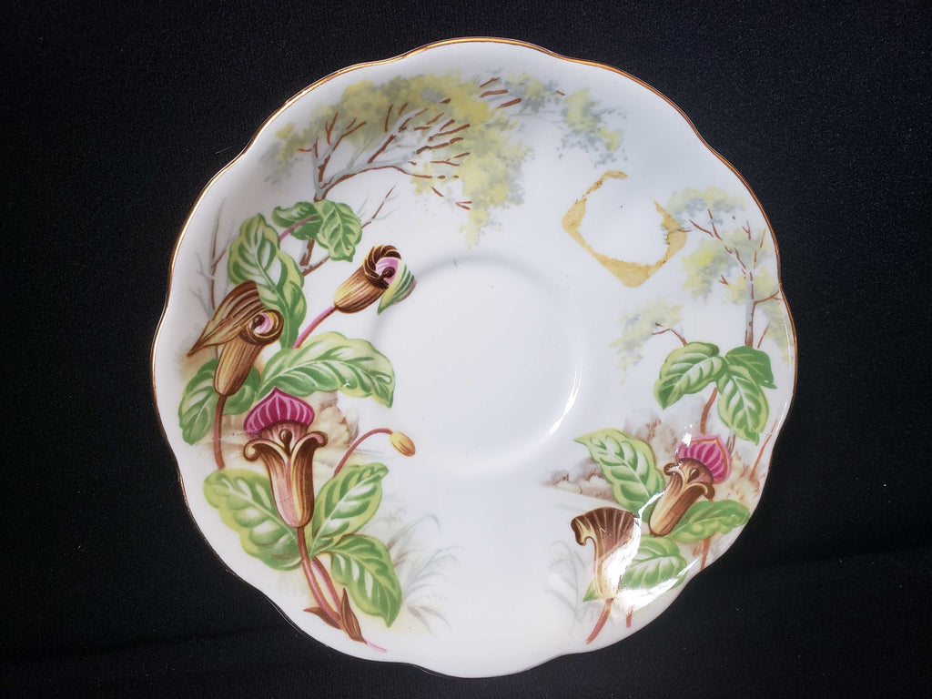 Vintage Royal Albert Bone Jack-in-a-Pulpit Saucer ONLY (lot 2011)
