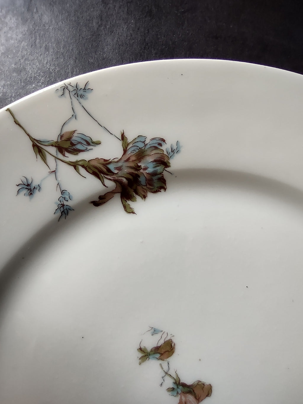 Depose Haviland Limoges Pink Brown Cornflower Luncheon /Salad Plate (lot 968)