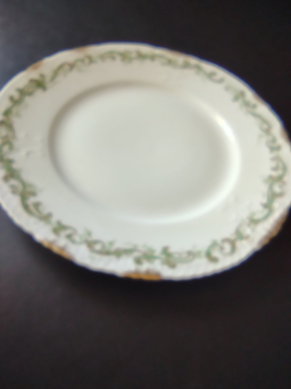 Haviland France Limoges French Cottage Shabby Chic Dinner Plate Green (lot 1103)