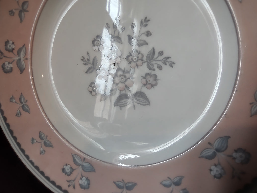 Wedgwood Pimpernel Pink Salad/Dessert Plate 8" Brown Stamp (lot 2761)
