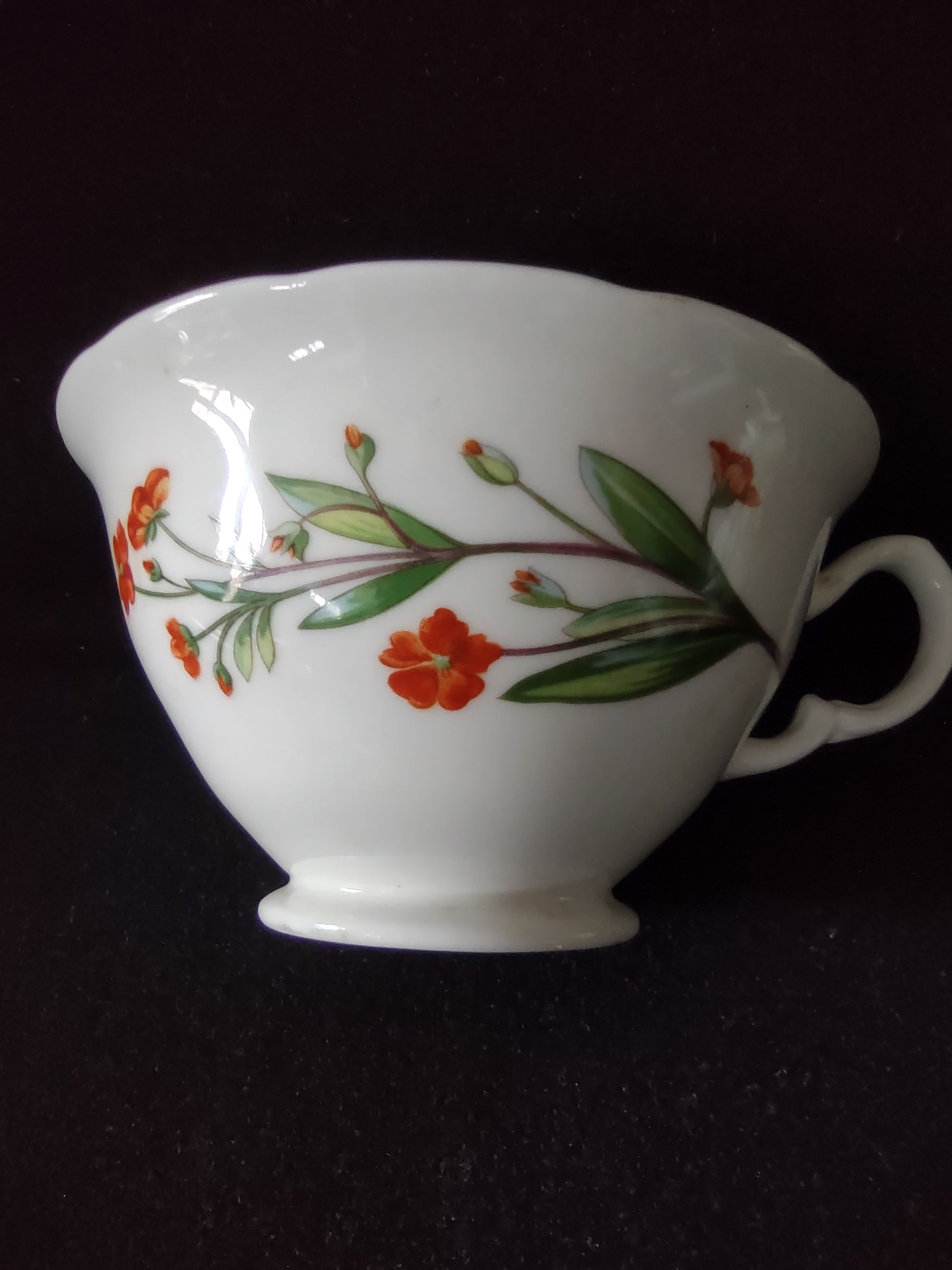 Vintage Minton Meadow Teacup Saucer Bone China Floral Scalloped (Lot 5508)