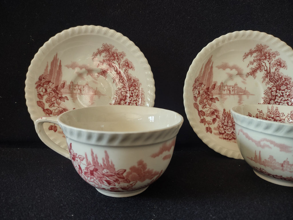 Vintage Castle On Lake Johnson Teacup Saucer x 2 English Countryside (lot 5706