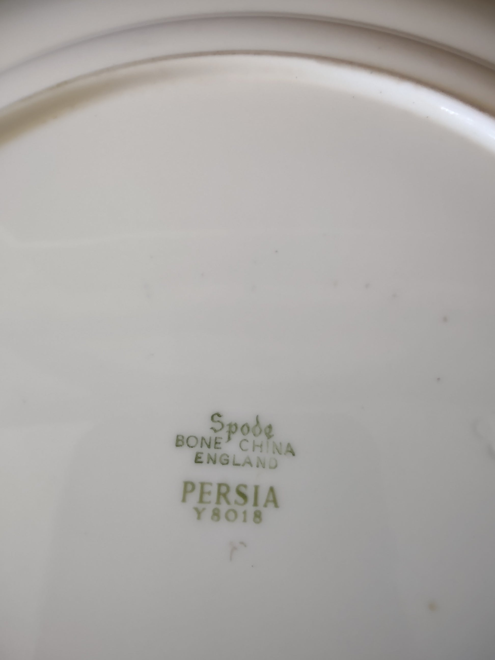 Vintage Spode Dinner Plate Persia Green Bone China x 3 English Country (Lot 5726