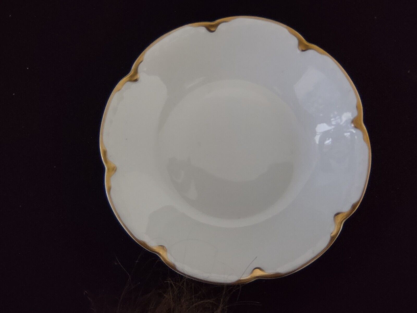 Haviland Limoges White Coupe Salad Plate 7-1/2" Gold Trim (lot 308)