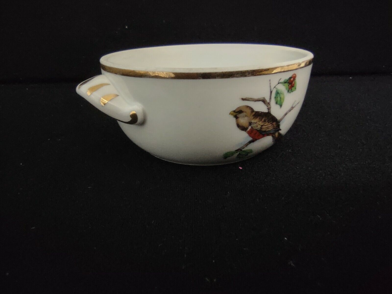 041 Vintage Collectible Pivilite Porcelain French Dish Bowl with Birds