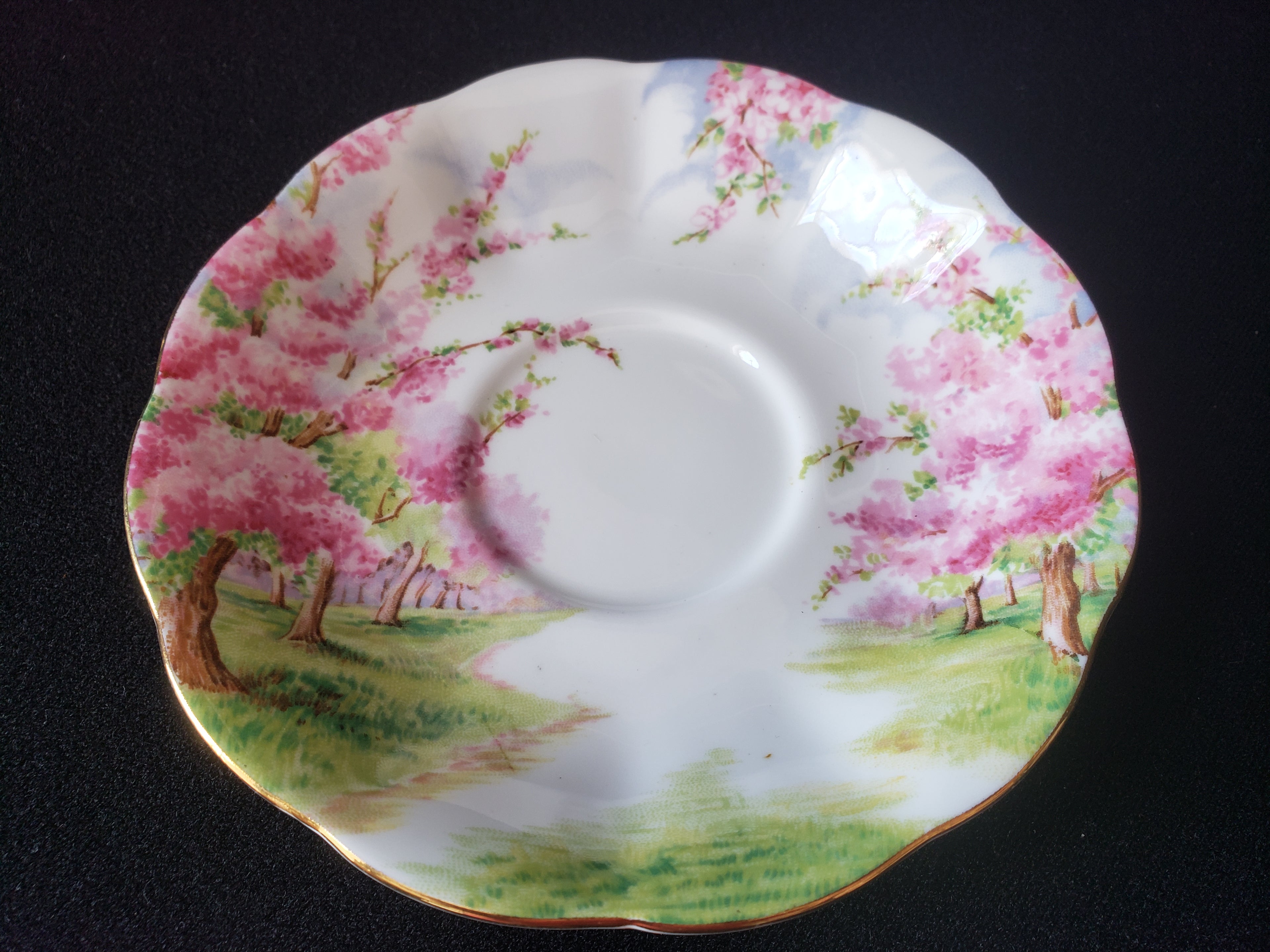 Vintage Royal Albert Bone China Blossom Time Saucer ONLY (lot 2021)