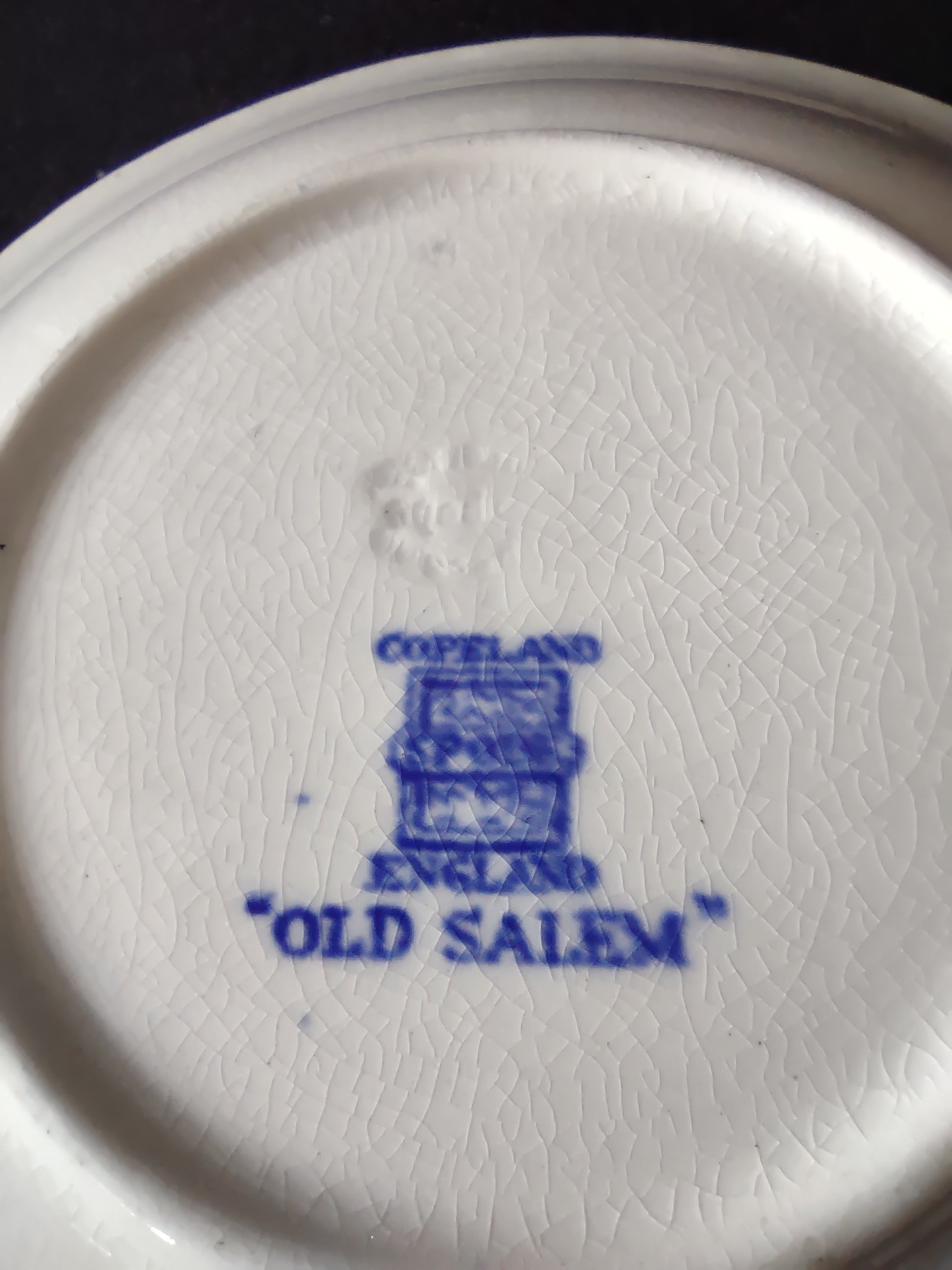 Vintage Copeland Spode Teacup Saucer Old Salem Blue Earthenware (Lot 5815)