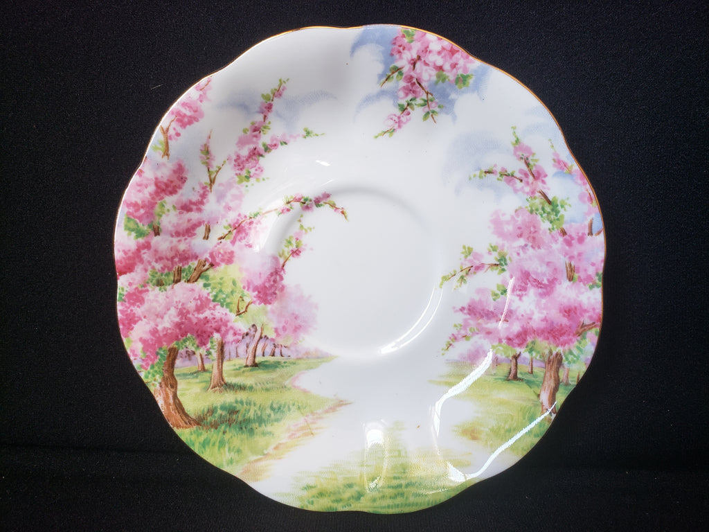 Vintage Royal Albert Bone China Blossom Time Saucer ONLY (lot 2021)