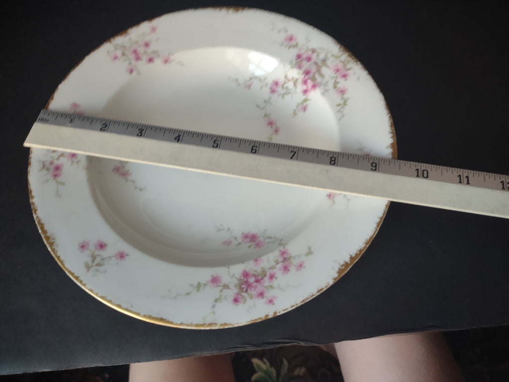 Haviland France Limoges Soup Plate 9-1/2" Pink Floral Gold Trim (lot 1006)