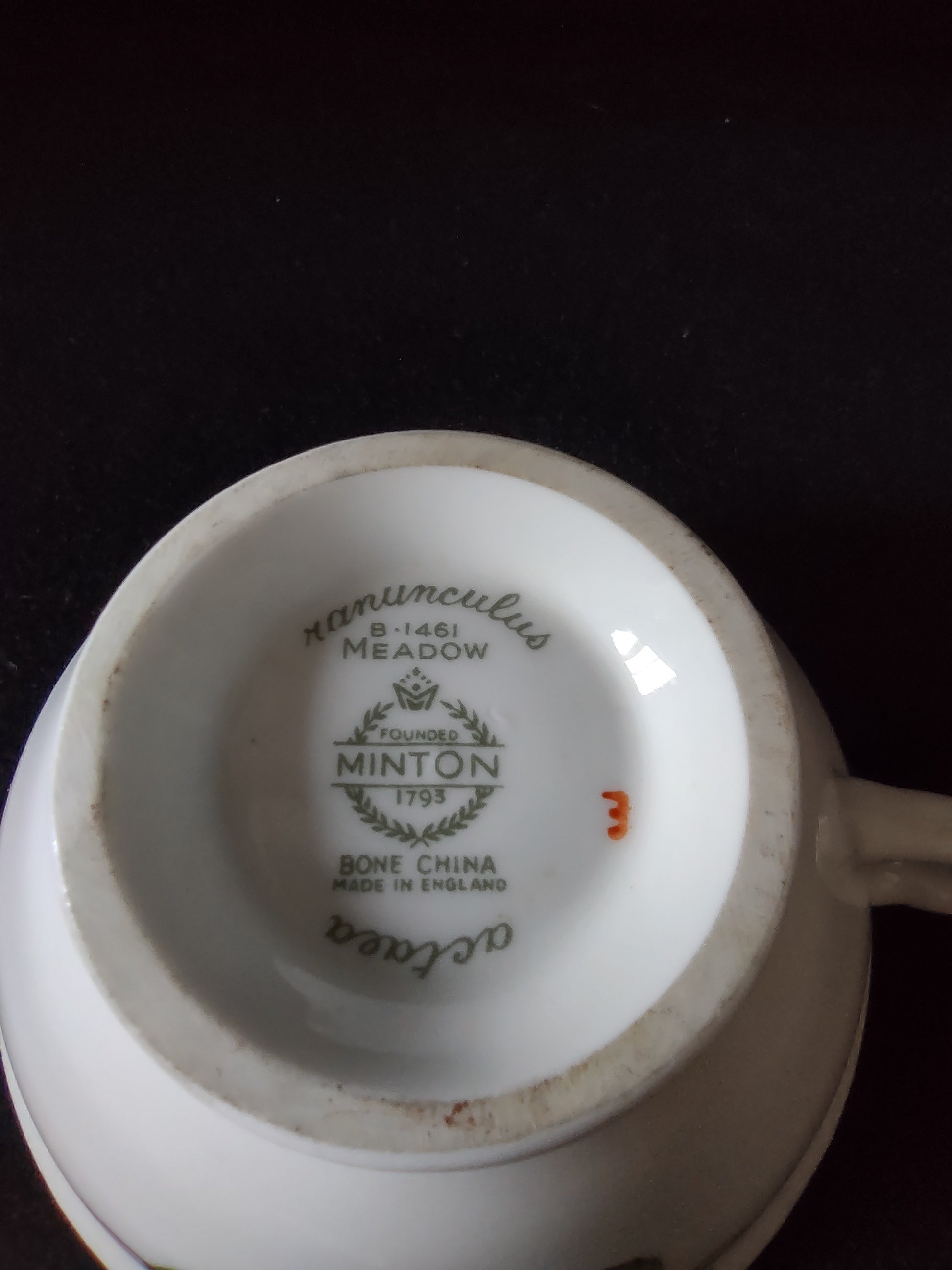 Vintage Minton Meadow Teacup Saucer Bone China Floral Scalloped (Lot 5508)