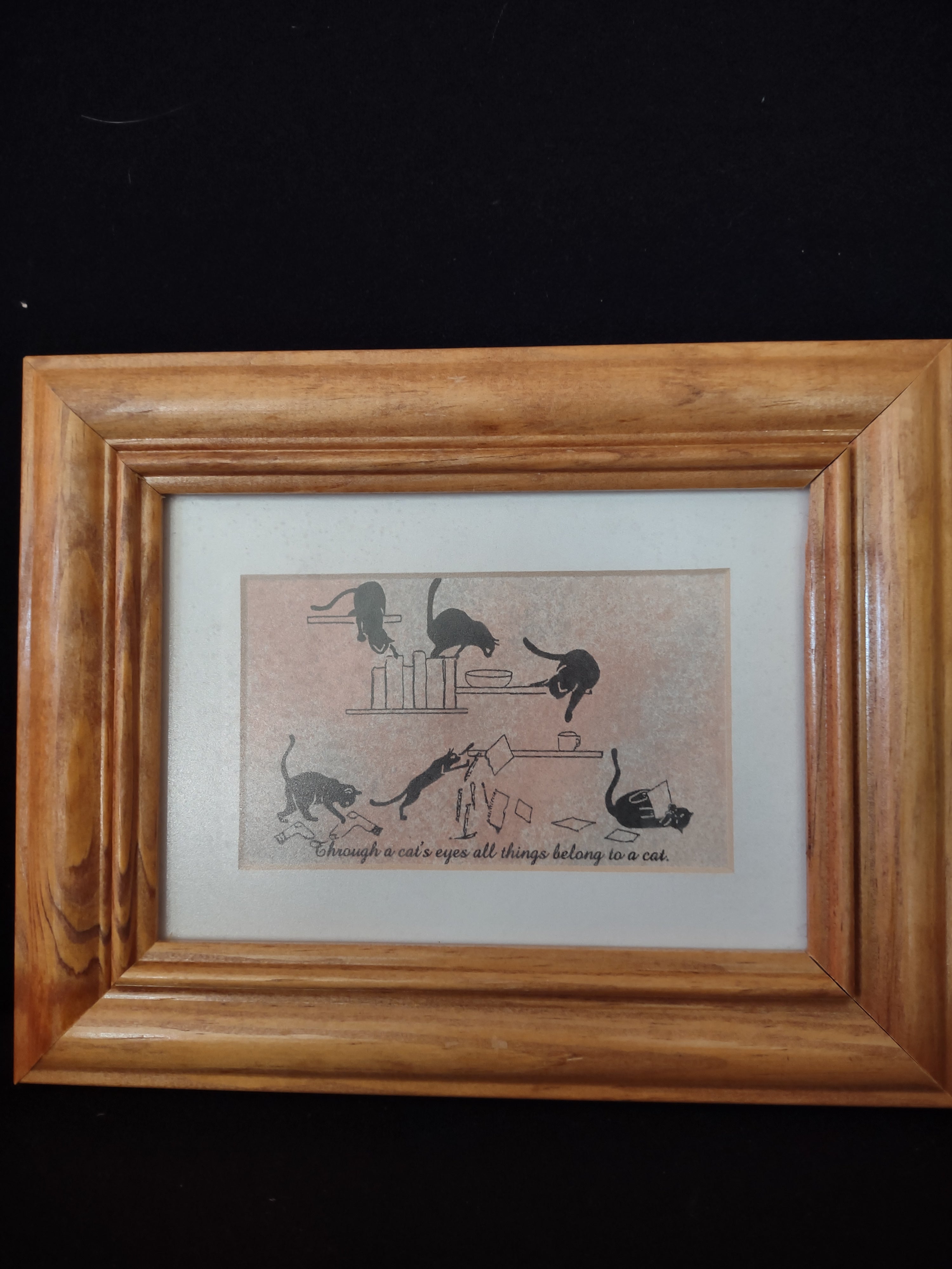 Set 2 Pictures Mimi Whitcomb Studios Cat Wooden Frames (lot 1773)