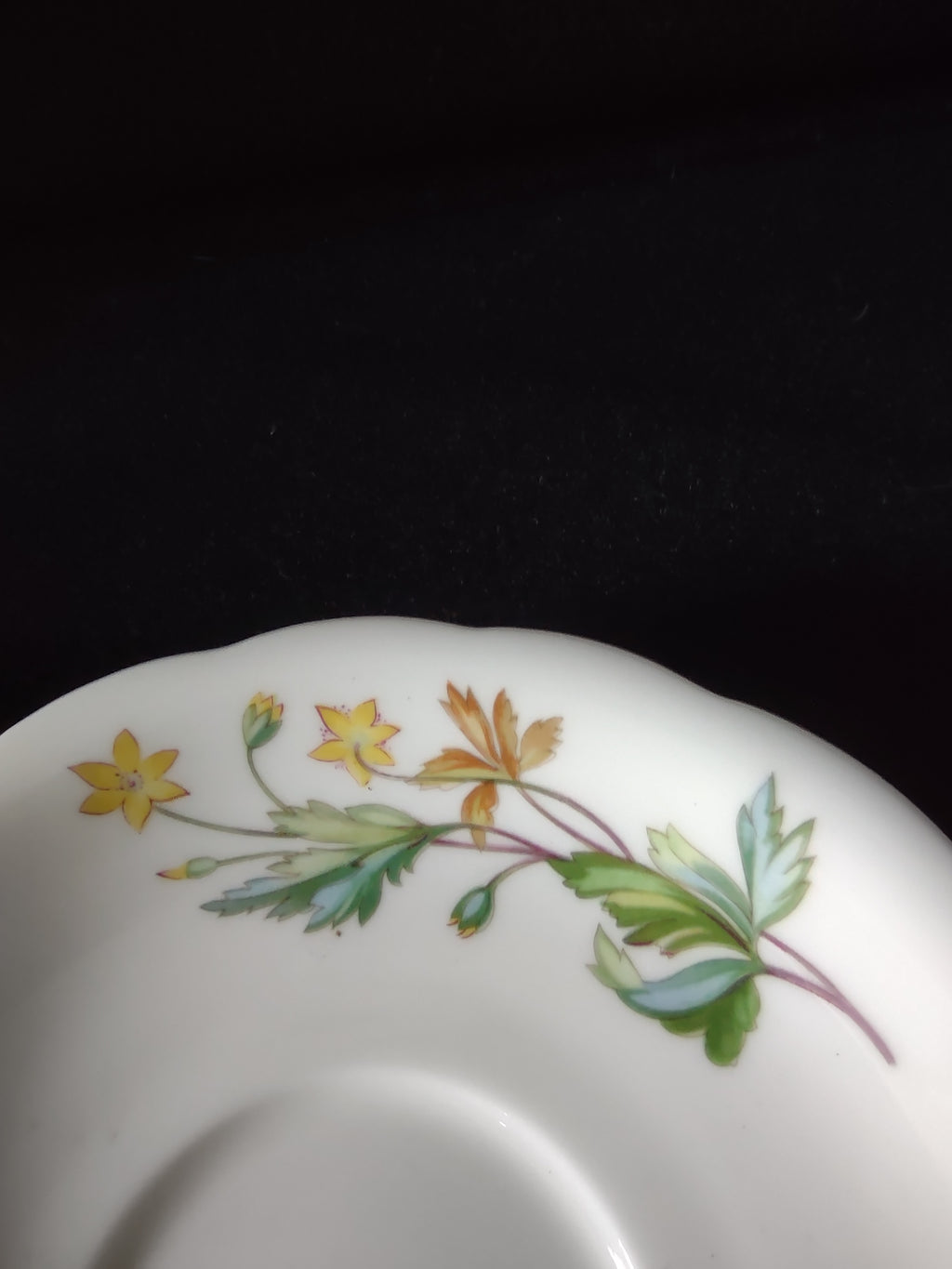 Vintage Minton Meadow Teacup Saucer Bone China Floral Scalloped (Lot 5508)