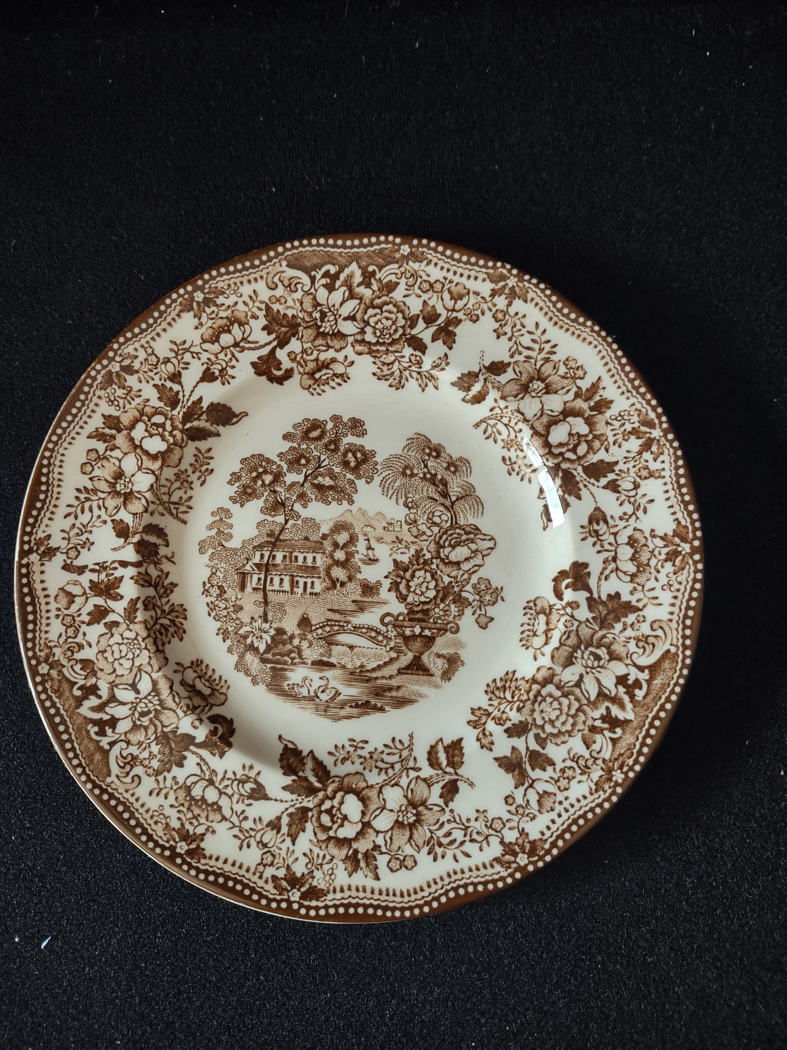 Vintage Royal Staffordshire England Ironstone Plate Tonquin Brown (lot 5652)