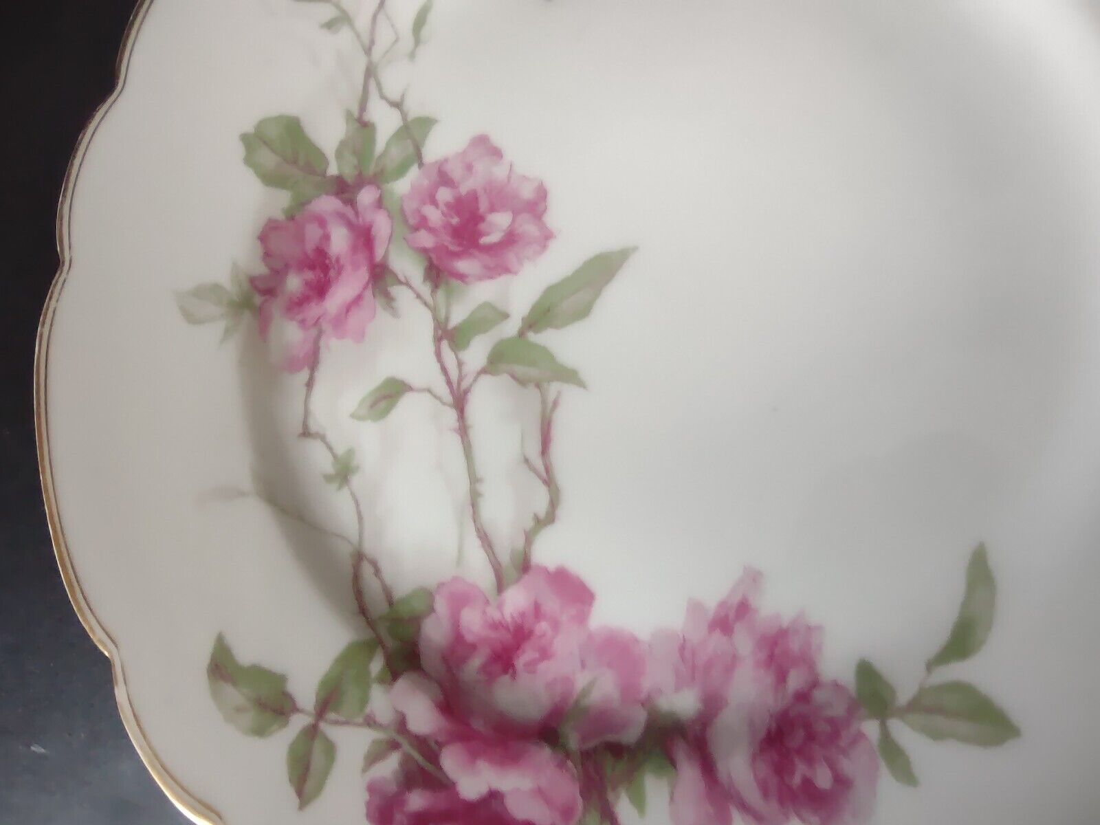Haviland Limoges Baltimore Rose Salad Plate Gold Trim 8-1/4" (lot 488)