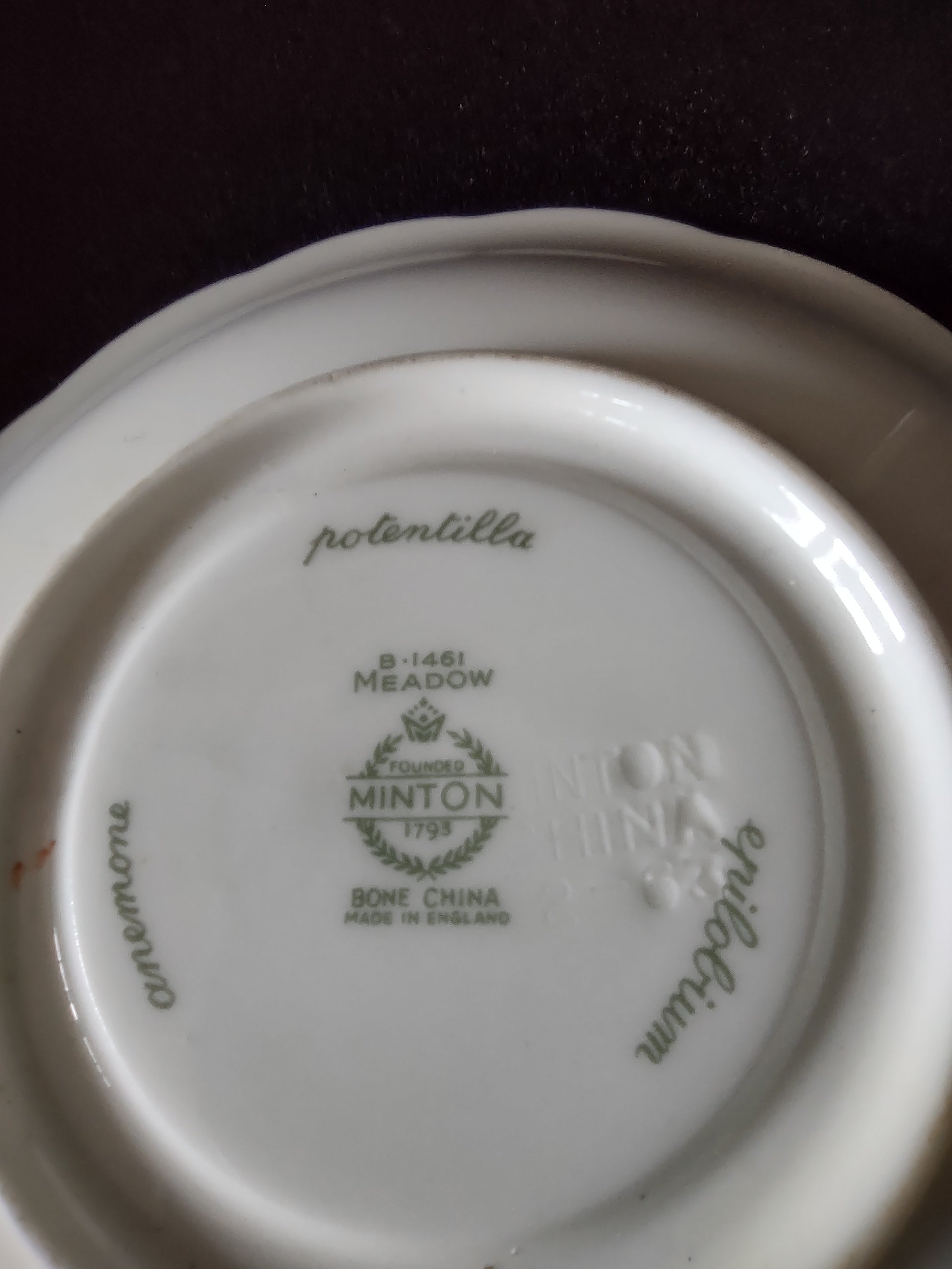 Vintage Minton Meadow Teacup Saucer Bone China Floral Scalloped (Lot 5508)
