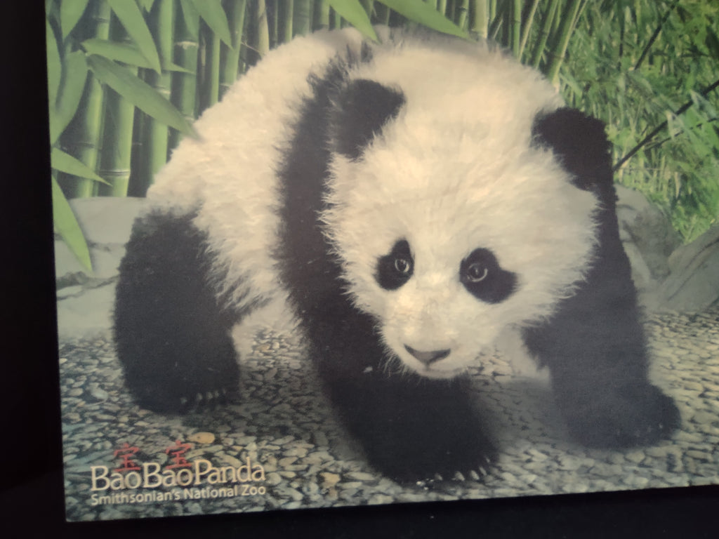 Bao Bao Smithsonian Panda Wooden Picture Portret Walnut Hollow (lot 2772c)
