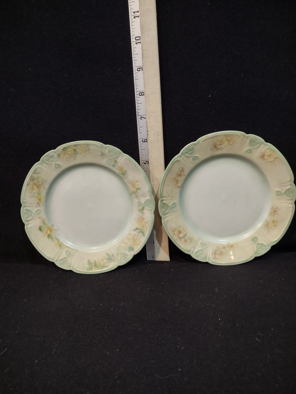Vintage China 6 " Plate x 2 Floral Pattern Scalloped Green Rim Edge (Lot 5352)