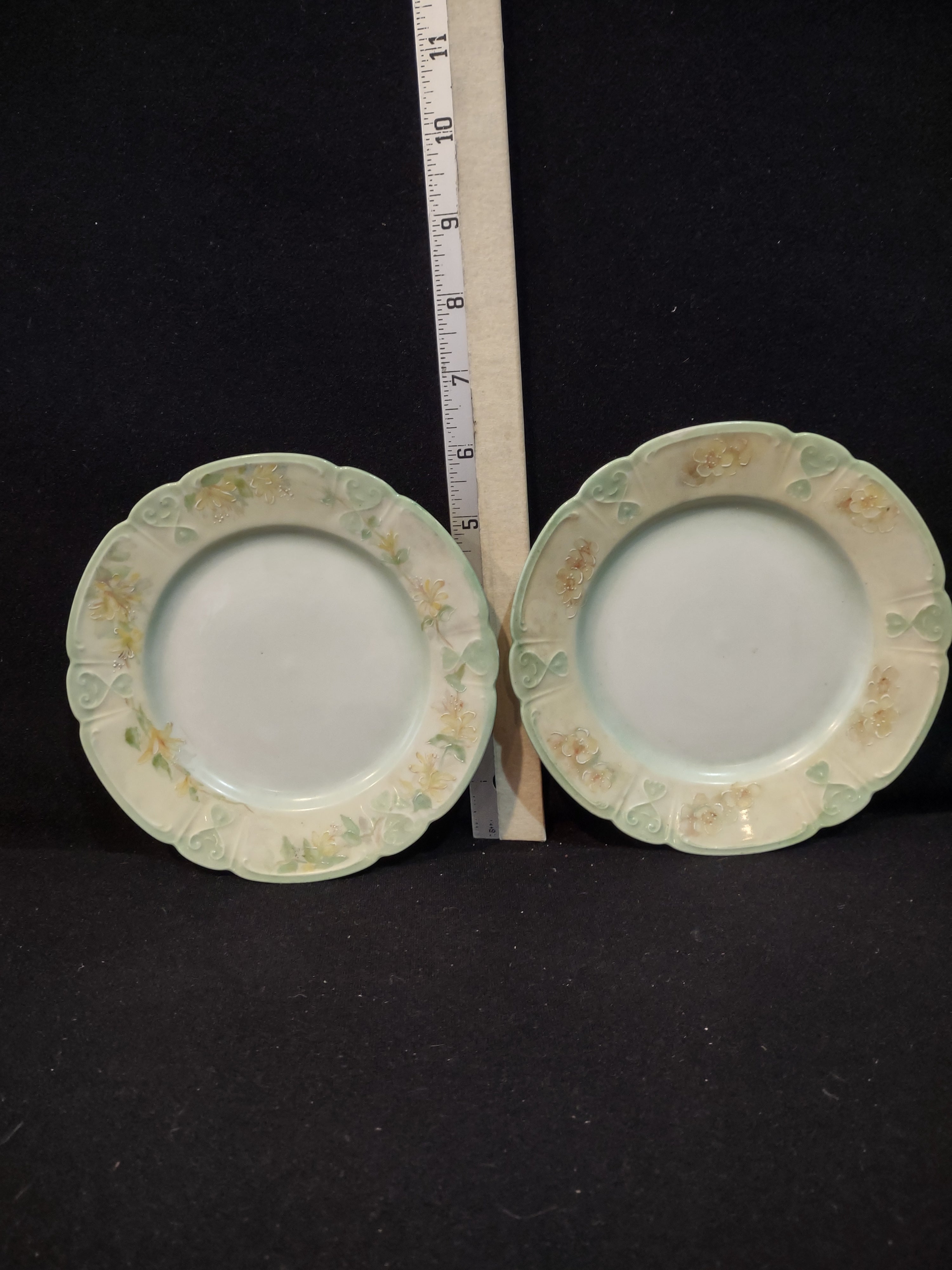 Vintage China 6 " Plate x 2 Floral Pattern Scalloped Green Rim Edge (Lot 5352)