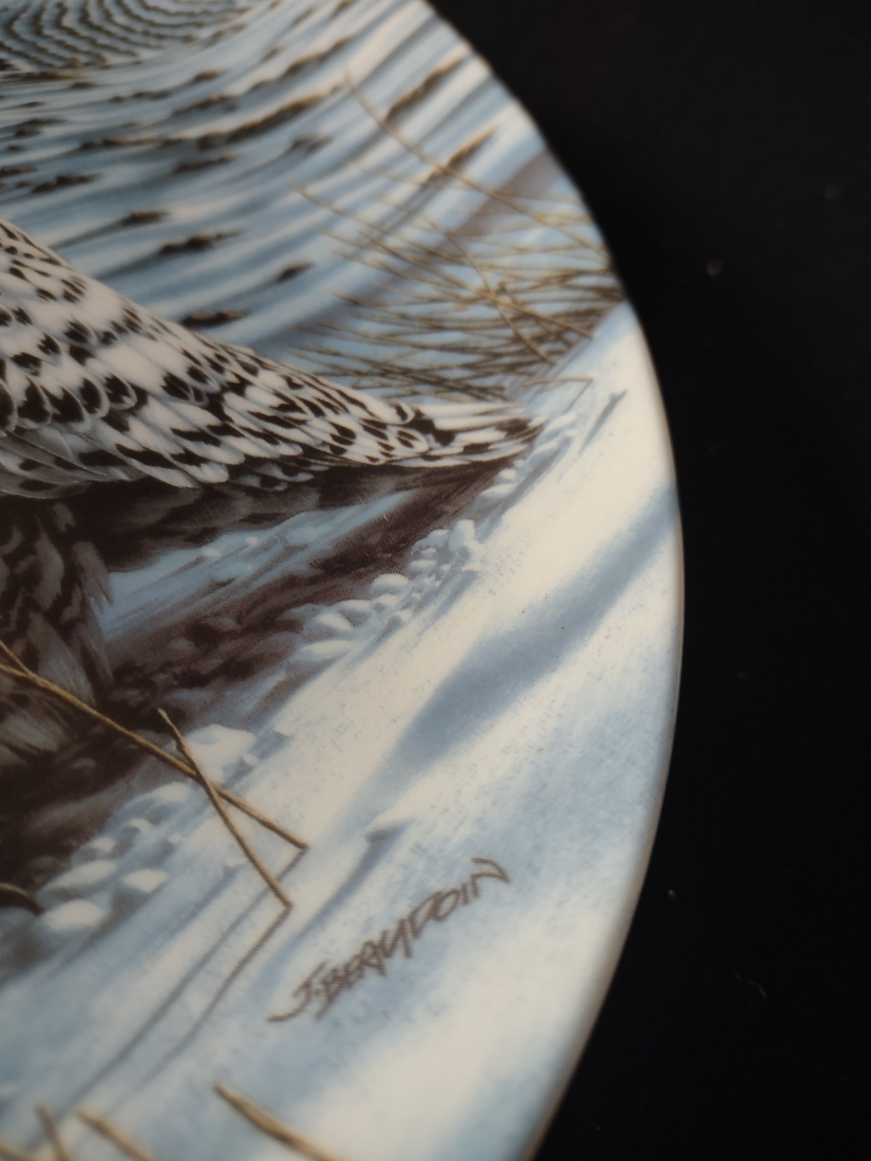 Vintage Knowles Collector Plate 1st Issue The Snowy Owl Stately Owls (Lot 5113)
