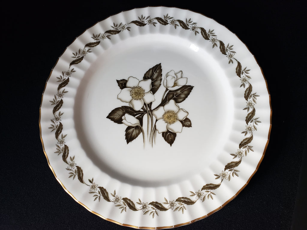 Vintage Royal Worcester Engadine Dinner Plate 10-1/2" (lot 2130)