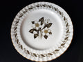 Vintage Royal Worcester Engadine Dinner Plate 10-1/2" (lot 2130)