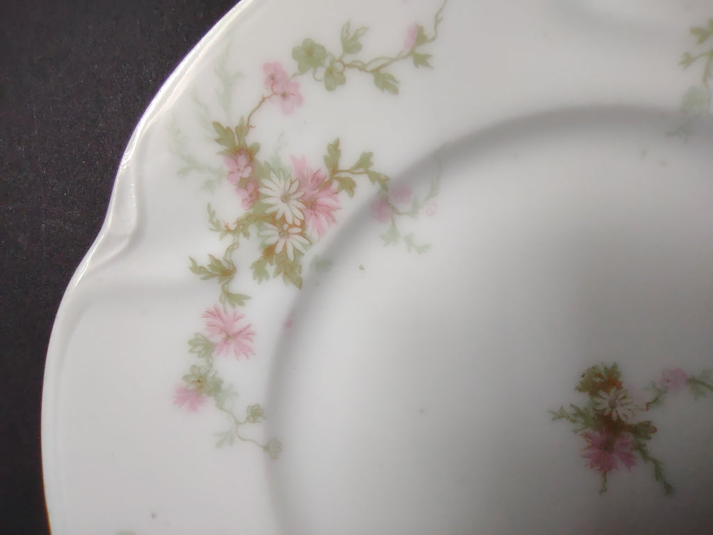 Haviland Limoges Bread Butter Plate Pink Thistle & Daisy (lot 881)