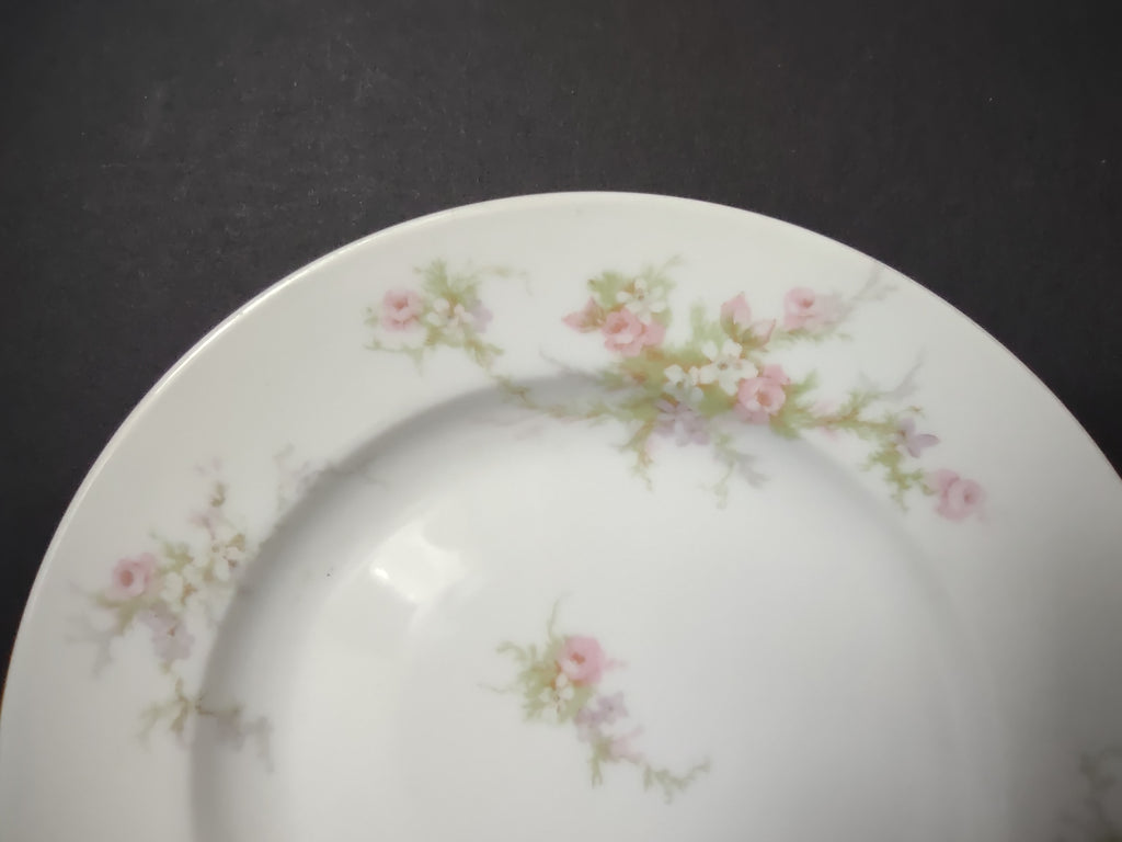 Haviland Limoges 2 x Bread Butter Plate Rose White Purple Flower Moss (lot 898)