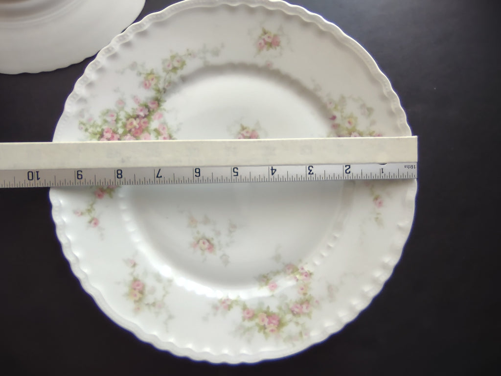 Haviland Limoges Set of Dinner Luncheon Plate Pink Purple Yellow Rose (lot 843)
