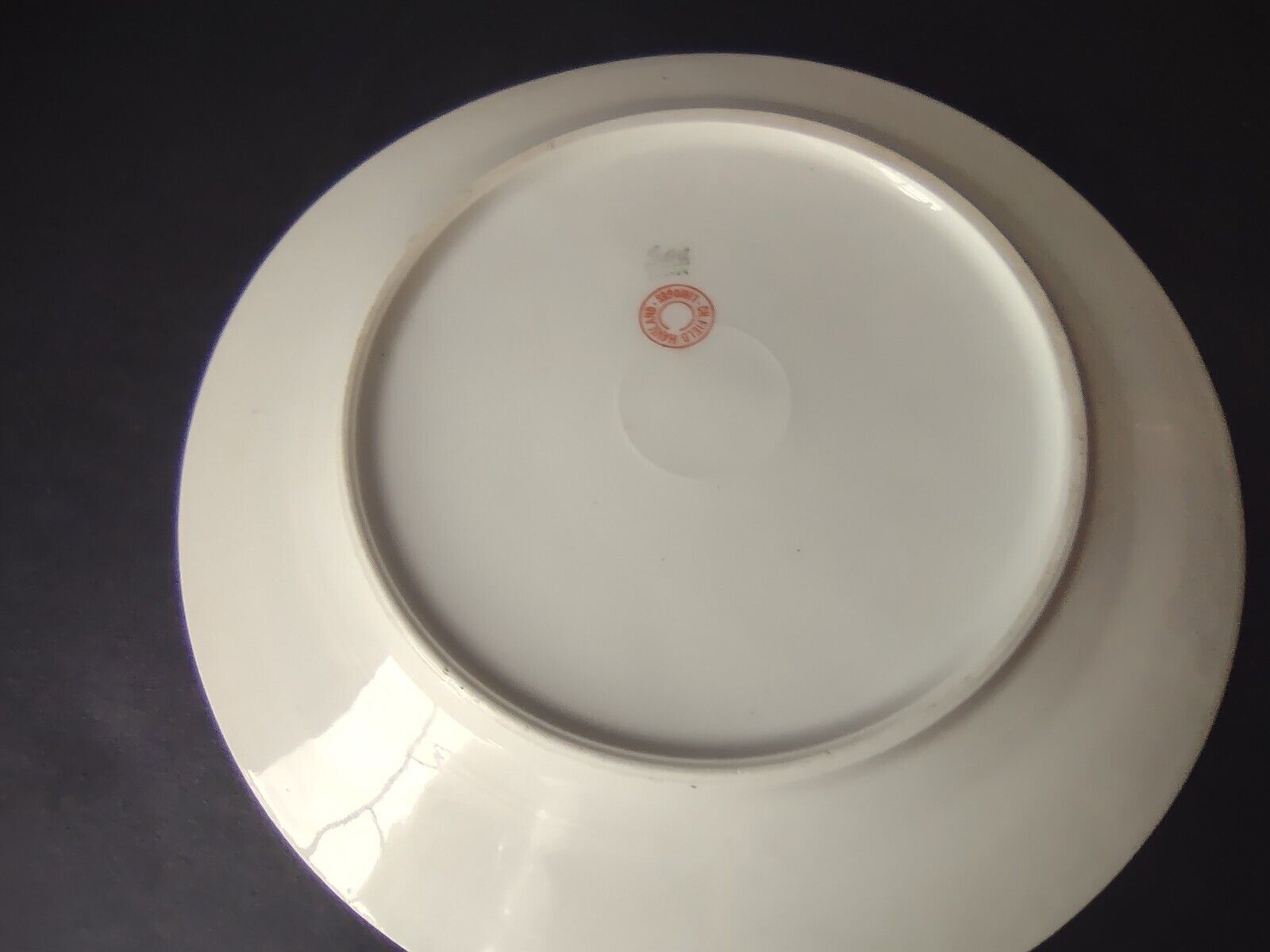 GDA Limoges Dinner & Salad Plate Apple Blossom Garland Swag Ribbon (lot 747)