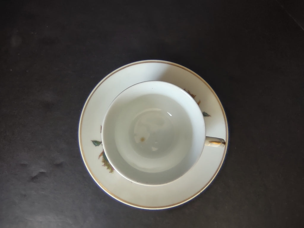 Haviland Limoges Tea Cup Saucer Moss Rose (lot 1056)