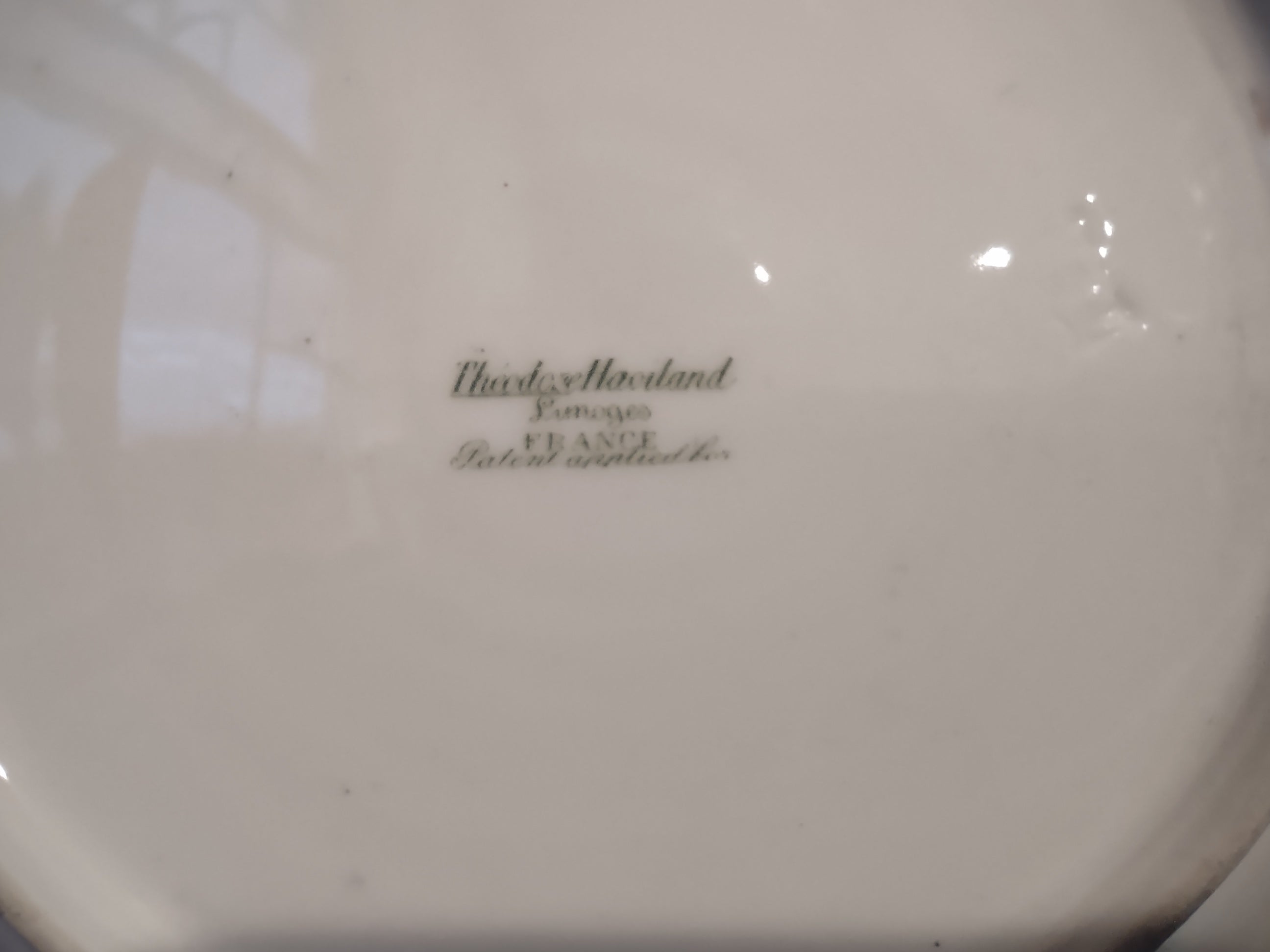 Haviland France Limoges Luncheon Plate Cranberries Christmas (lot 1008)