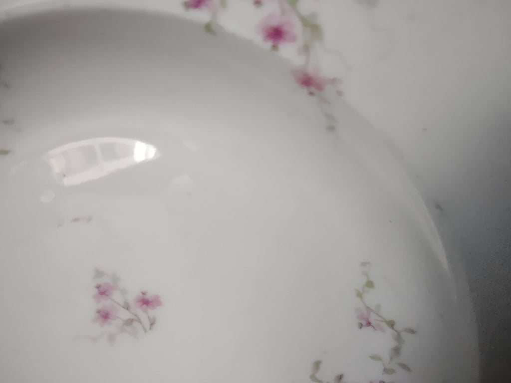 Haviland France Limoges Soup Plate 9-1/2" Pink Floral Gold Trim (lot 1006)