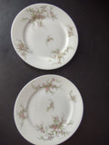 Haviland Limoges 2 x Dessert/Salad Plate Pink White Cabbage Rose Moss (lot 903)