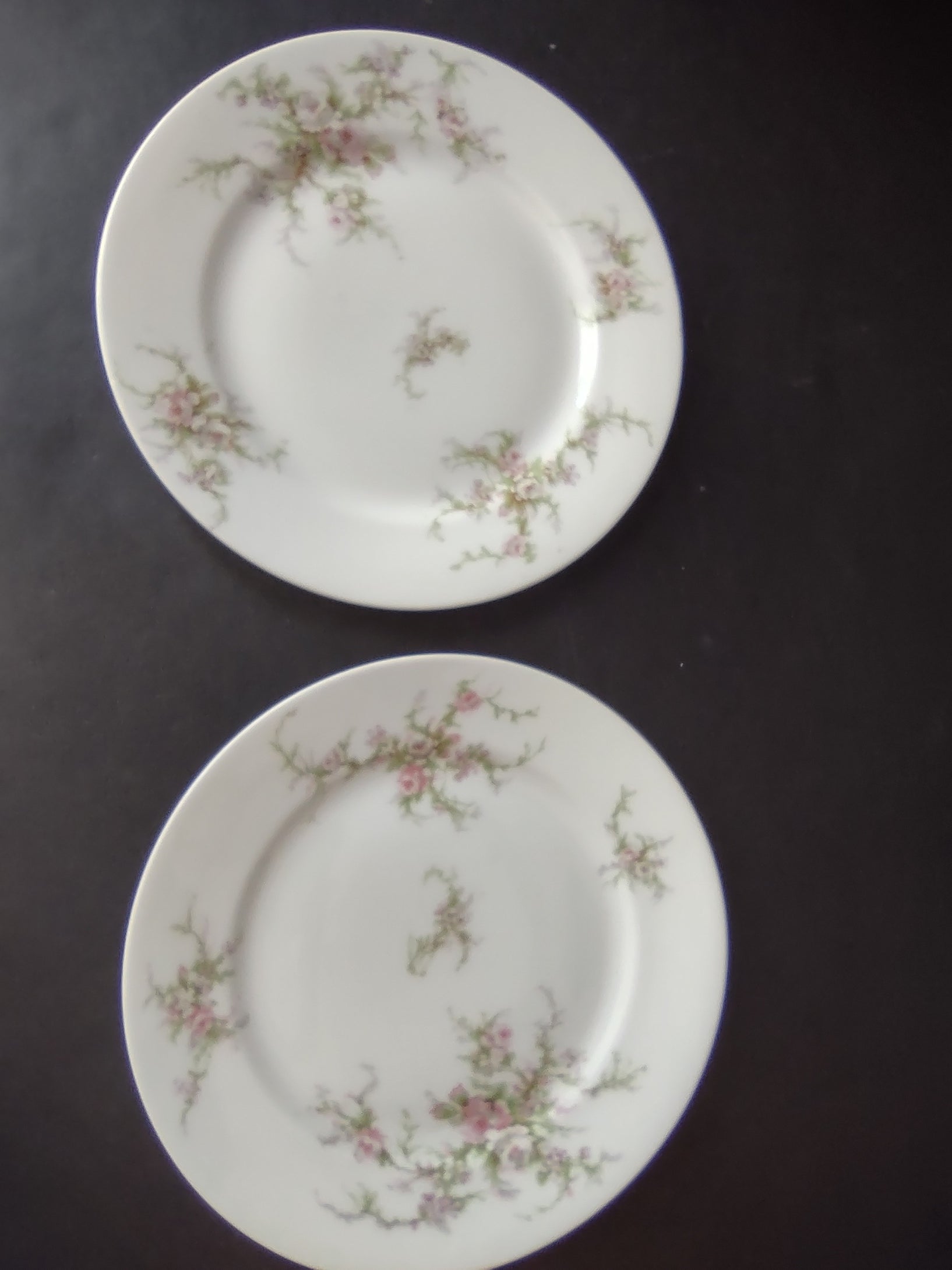 Haviland Limoges 2 x Dessert/Salad Plate Pink White Cabbage Rose Moss (lot 903)