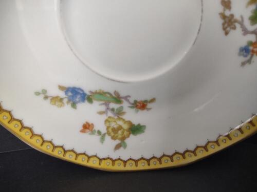 Haviland Limoges Eden 5-3/4" Saucer ONLY Gold Trim Parrot ( lot 778)