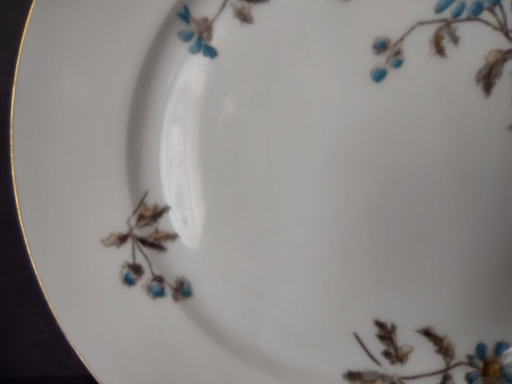 CFH GDA Haviland Limoges Luncheon/Salad Plate Blue Daisy Rustic Cottage (lot 982