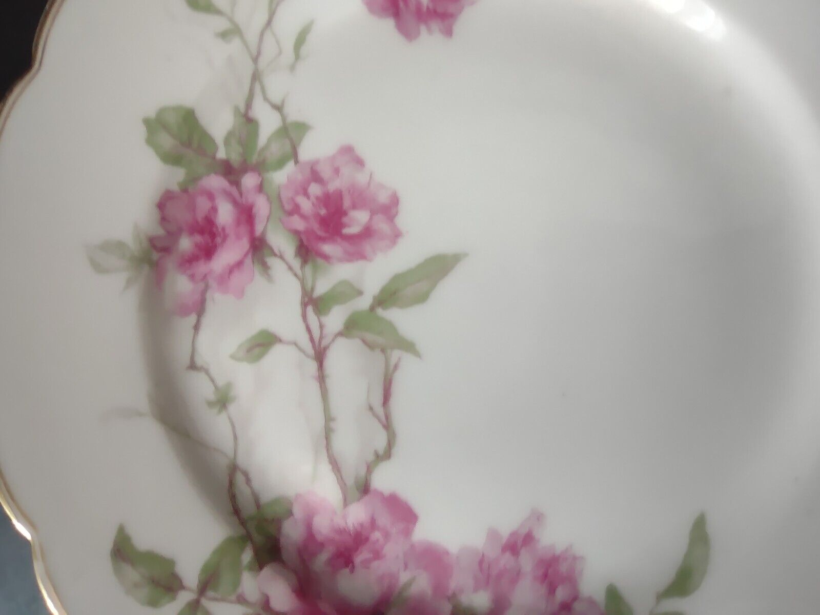 Haviland Limoges Baltimore Rose Salad Plate Gold Trim 8-1/4" (lot 488)