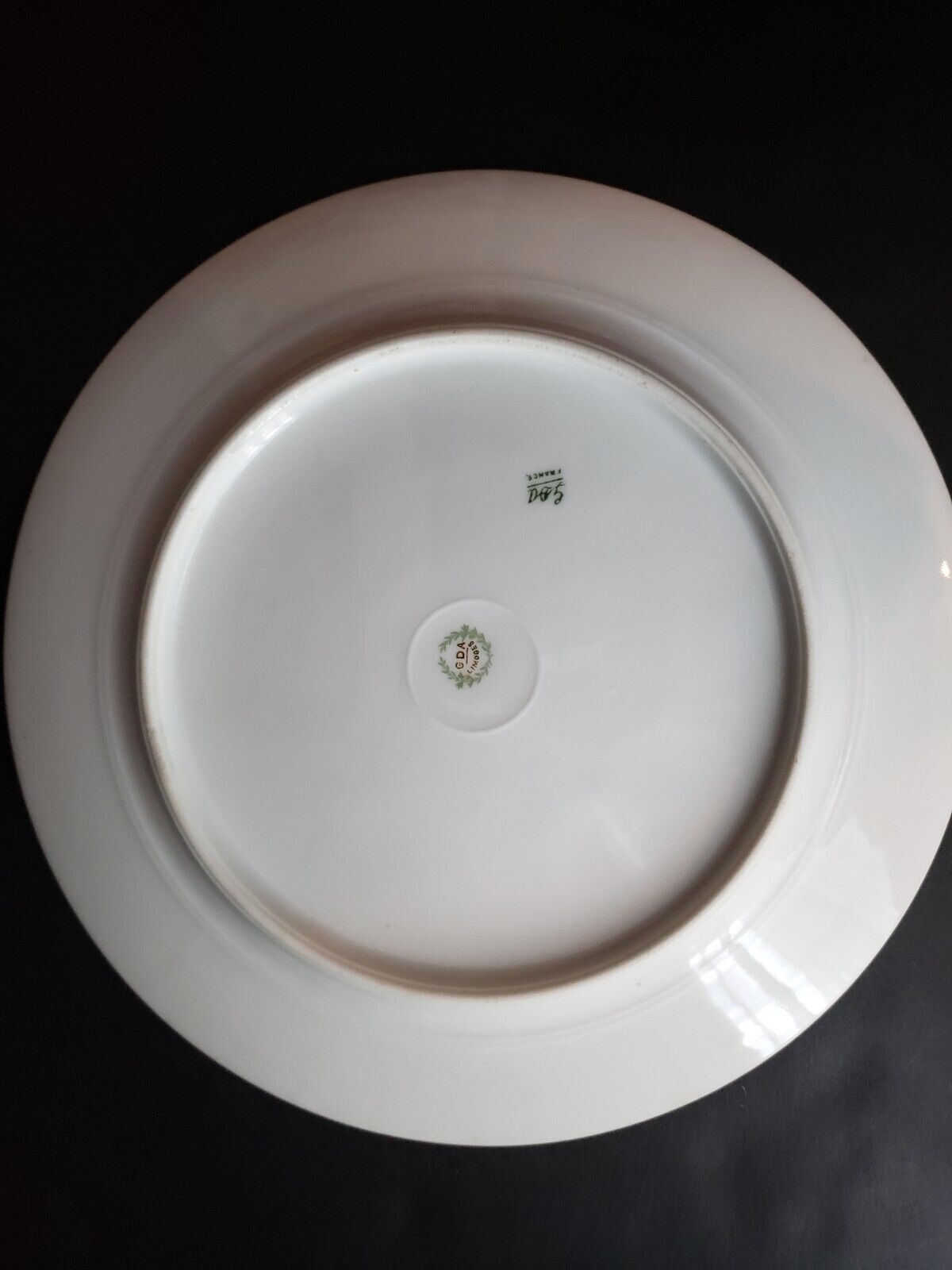 GDA Limoges France Salad/Luncheon Plate Yellow Raised Gold Snowflake (lot 650)
