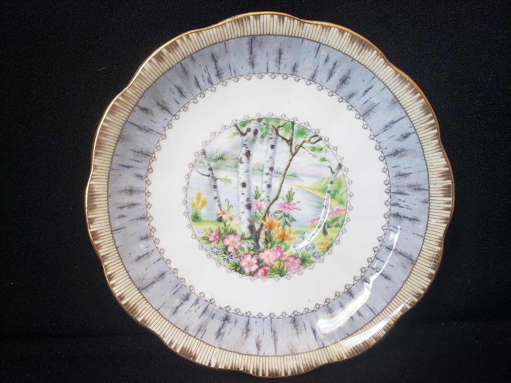 Vintage Royal Albert Bone China Silver Birch Saucer ONLY (lot 2015)