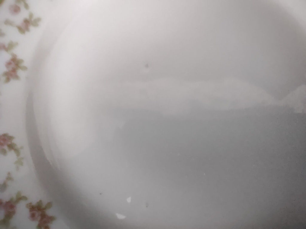 Haviland Limoges Schleiger 346 Red Rose 2 x Bread Butter Plate 6-1/4" (lot 546)